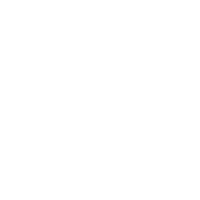ingenieur